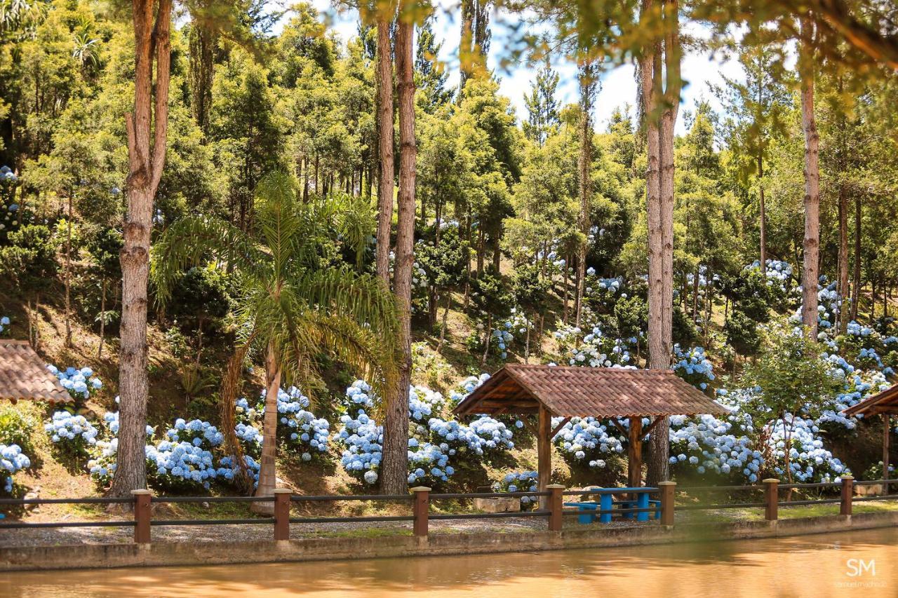 Piazito Park Hotel Fragosos エクステリア 写真